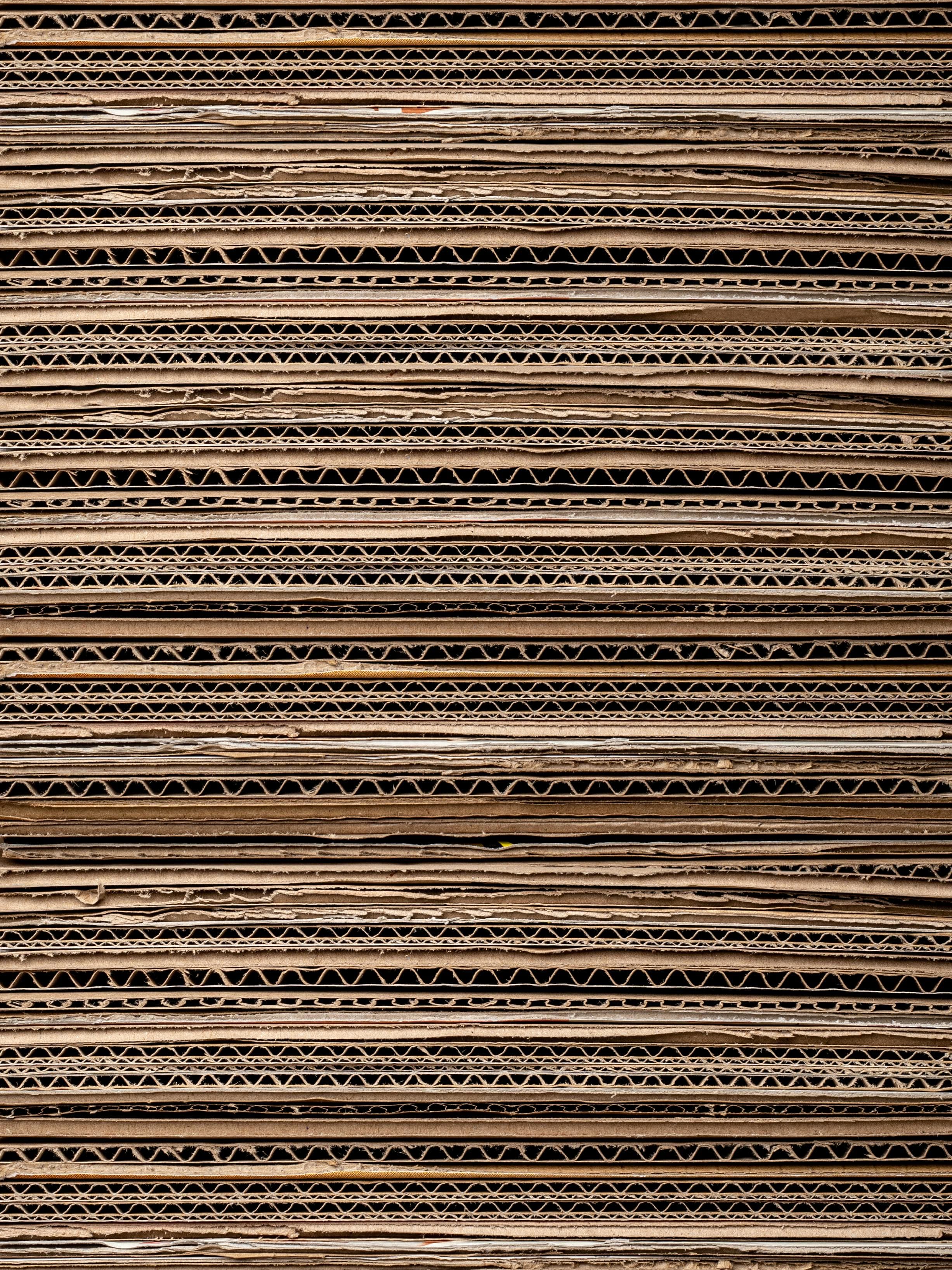 Cardboard
