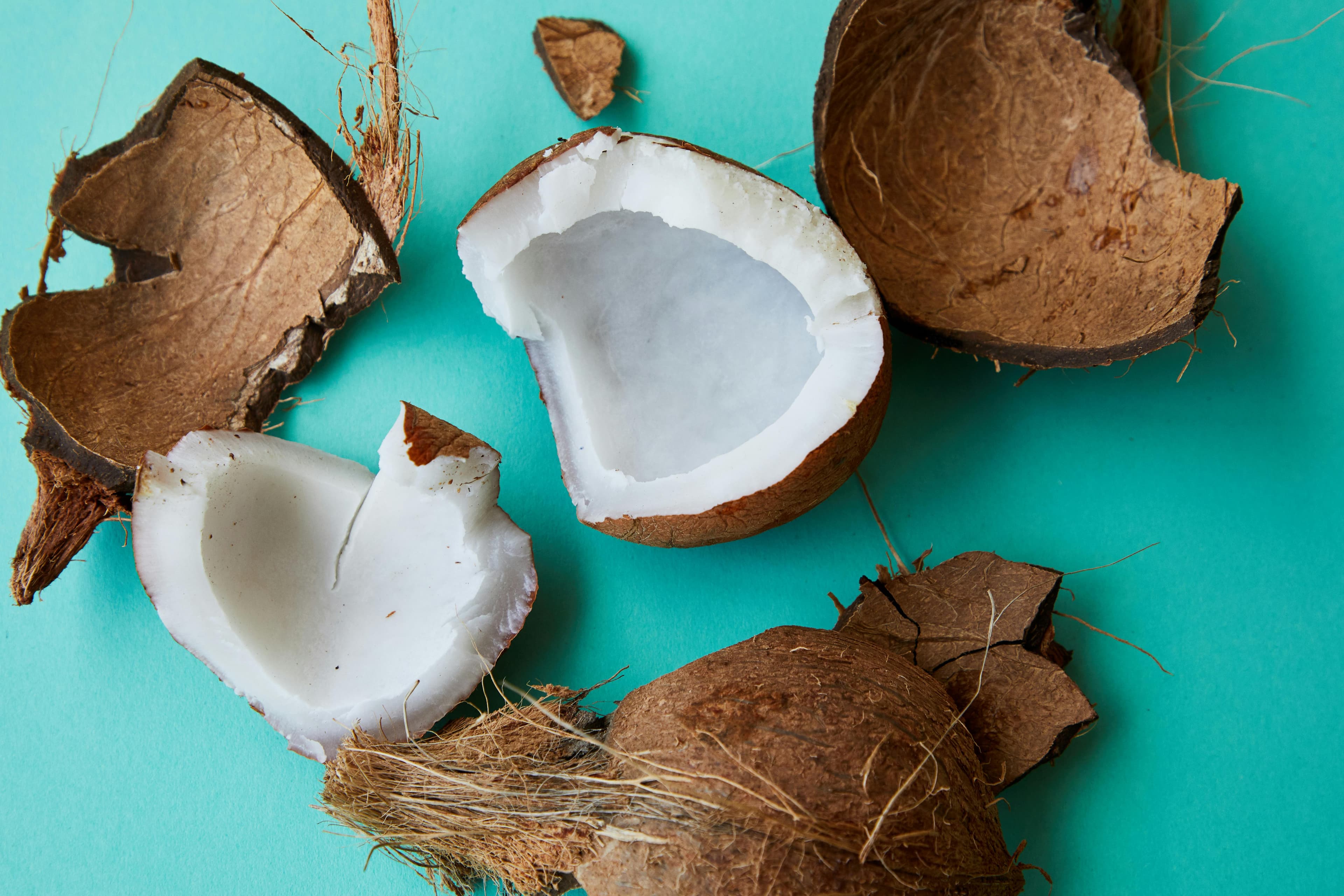 Coconut Skull
